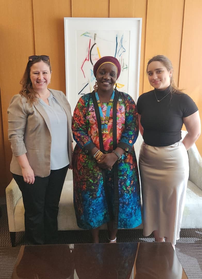 Zabib in follow-up diplomatic meetings